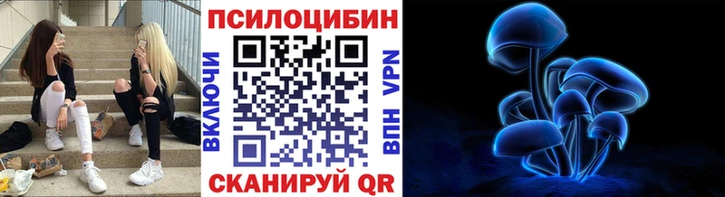 Галлюциногенные грибы ЛСД  Курганинск 